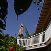 SWEET NEW FLARE